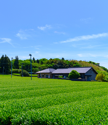 磐田市景観