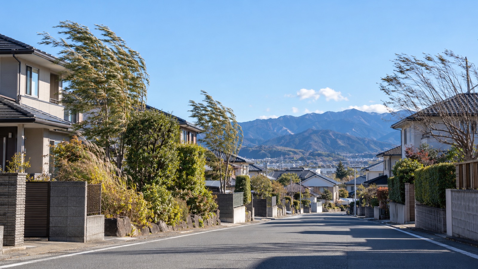 冬晴れの日に風で庭木が揺れる住宅街